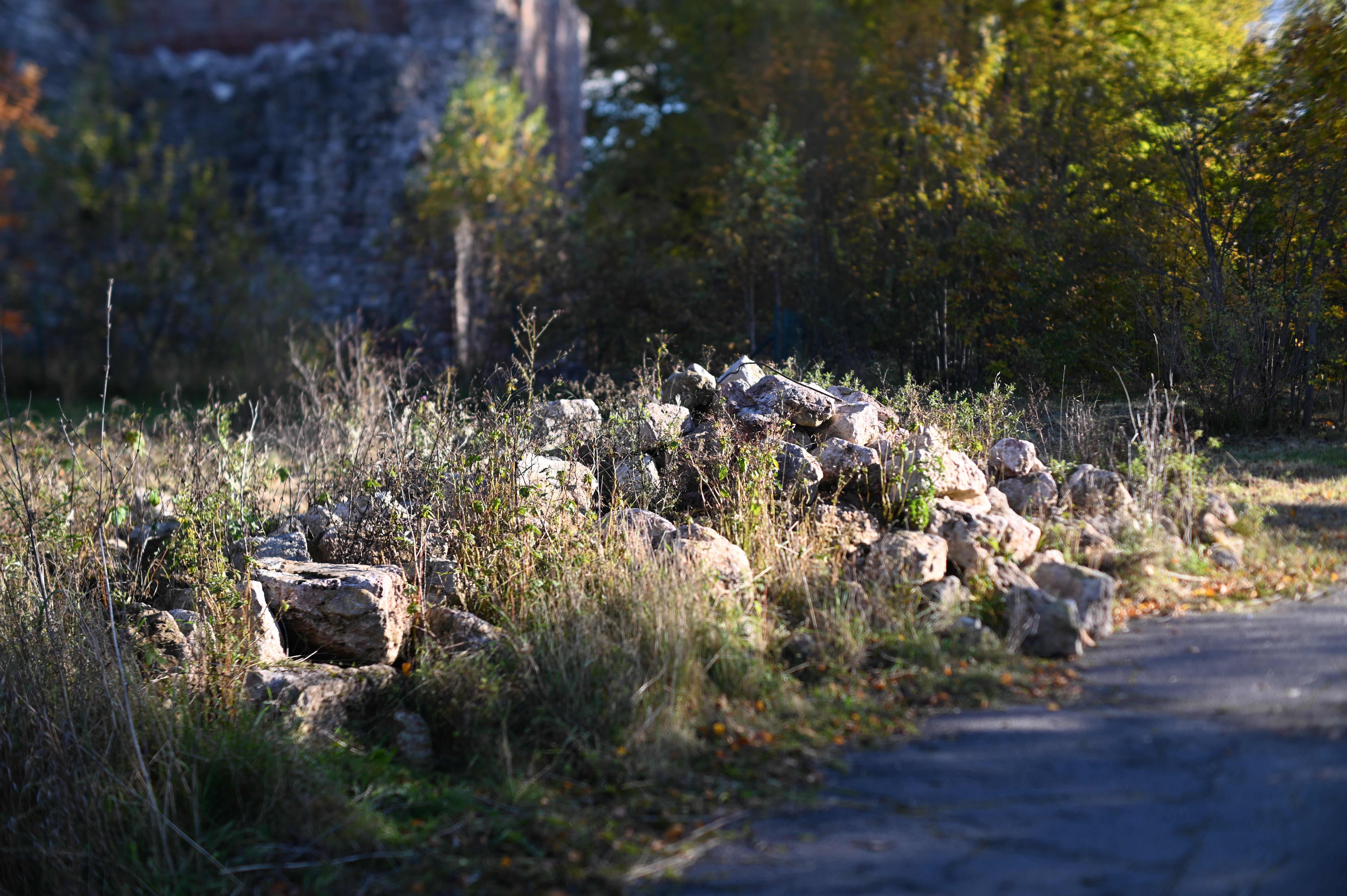 2025/10/18 - walk/DSC_0071.JPG